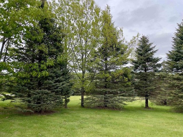7401 Mildred Ct, Cross Plains, WI 53528 - view of green lawn