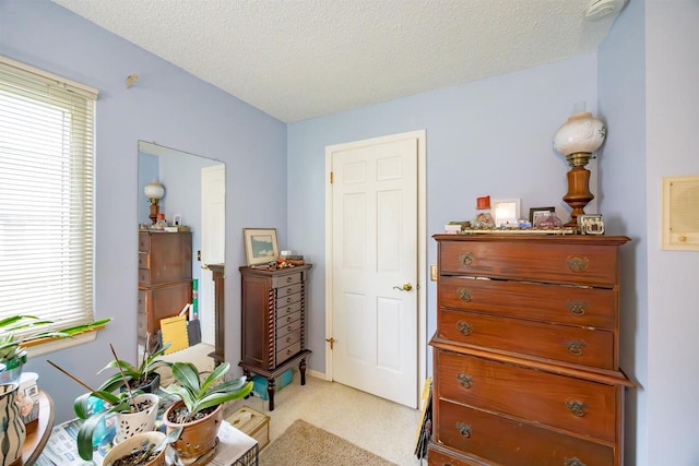 14 Golf Course Rd, Madison, WI 53704 - living area with a textured ceiling and carpet flooring