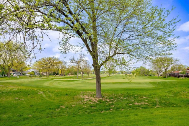 14 Golf Course Rd, Madison, WI 53704 - view of community with a yard, view of golf course, and a residential view