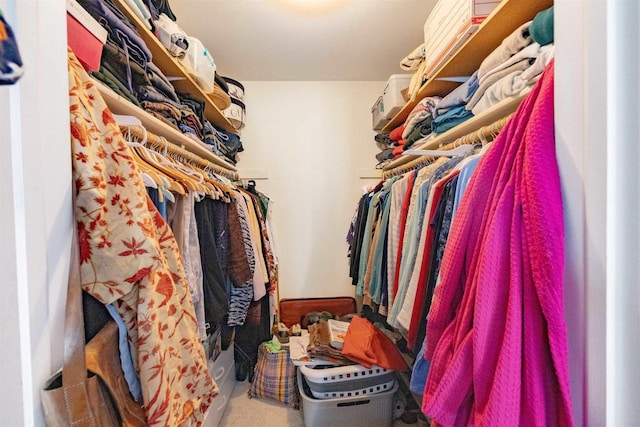 14 Golf Course Rd, Madison, WI 53704 - view of walk in closet