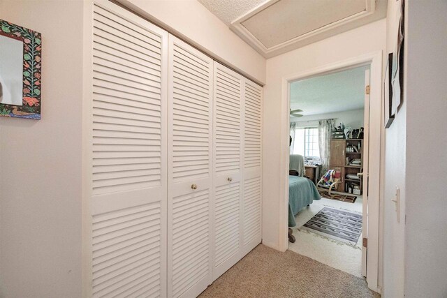 14 Golf Course Rd, Madison, WI 53704 - hall featuring carpet and attic access