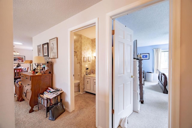 14 Golf Course Rd, Madison, WI 53704 - hallway featuring carpet flooring and a textured ceiling