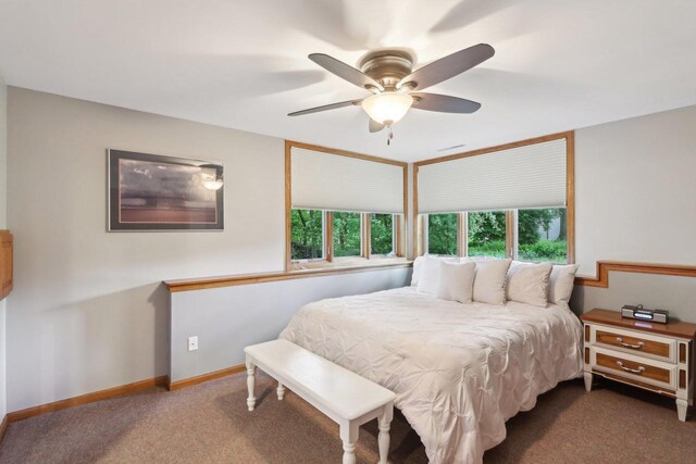 1816 Blue Ridge Trl, Waunakee, WI 53597 - bedroom with carpet, ceiling fan, and baseboards