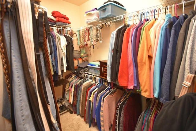 N1423 Silver Canoe Rd, Keshena, WI 54135 - walk in closet with carpet flooring
