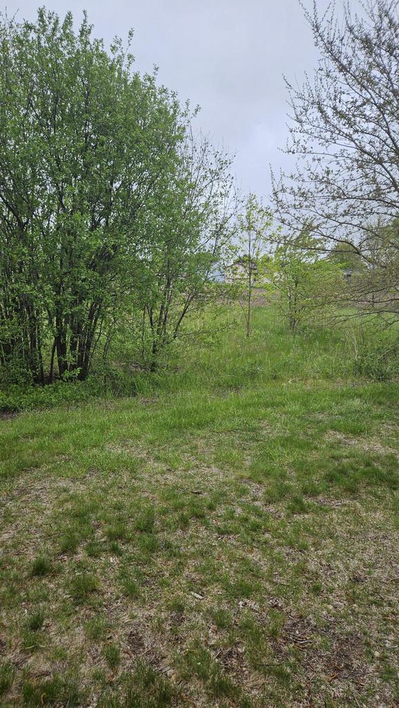 7040 Mariner Dr Unit 103, Mount Pleasant, WI 53406 - view of yard