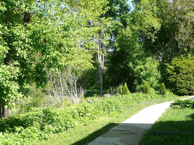 2146 Allen Blvd Unit 3, Middleton, WI 54562 - view of yard