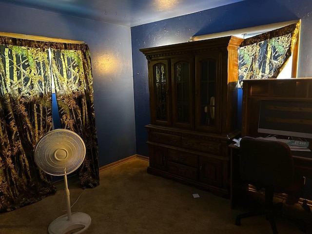 916 Fayette Ave, Rib Lake, WI 54470 - view of carpeted home office