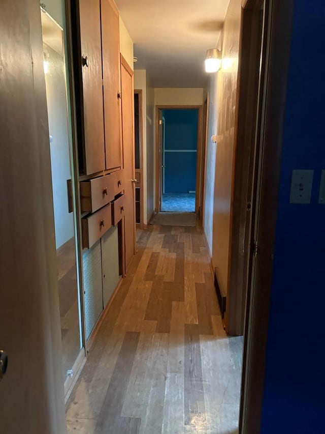916 Fayette Ave, Rib Lake, WI 54470 - hall with light wood finished floors