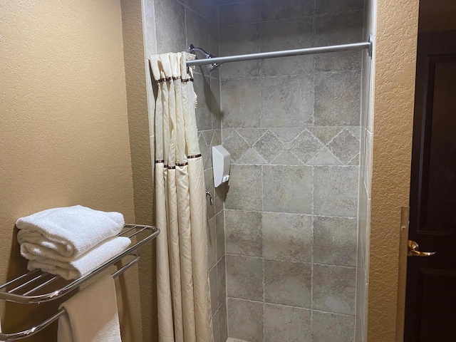 2411 River Rd Unit 2443, Wisconsin Dells, WI 53965 - full bathroom with a textured wall and a tile shower
