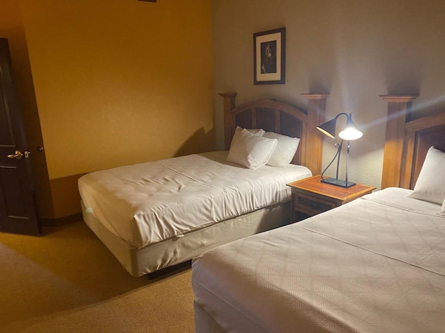 2411 River Rd Unit 2443, Wisconsin Dells, WI 53965 - view of carpeted bedroom
