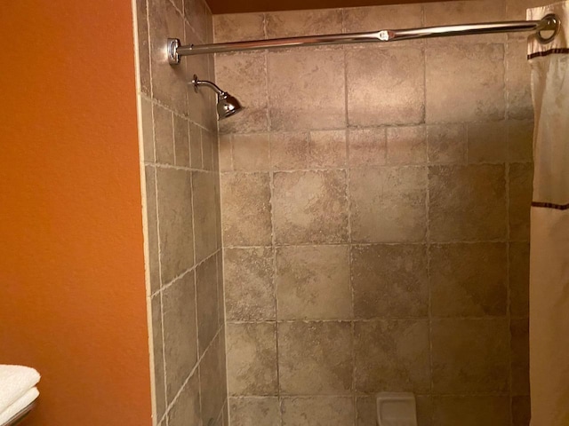 2411 River Rd Unit 2443, Wisconsin Dells, WI 53965 - bathroom featuring tiled shower