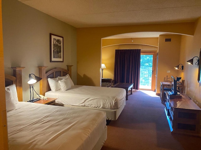 2411 River Rd Unit 2443, Wisconsin Dells, WI 53965 - bedroom with carpet floors, access to outside, and arched walkways