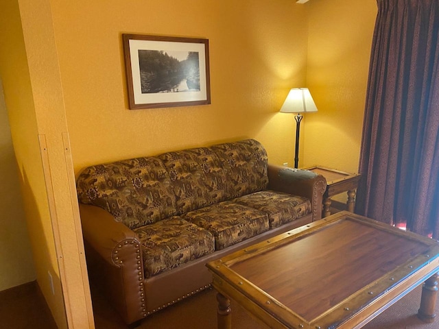 2411 River Rd Unit 2443, Wisconsin Dells, WI 53965 - view of living area