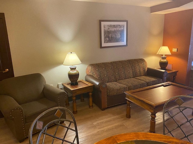 2411 River Rd Unit 2443, Wisconsin Dells, WI 53965 - living room featuring light wood-style flooring