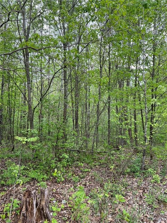 W4670 County Highway F, Springbrook, WI 54875 - view of wooded area