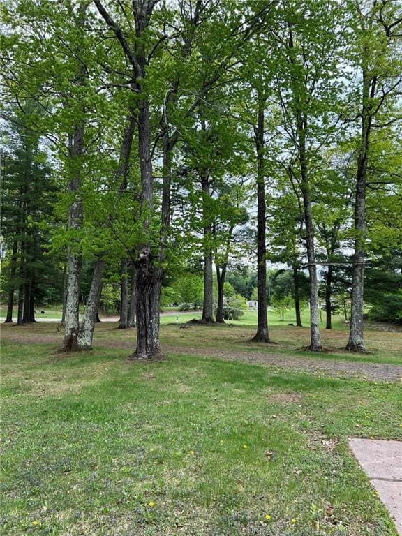 W4670 County Highway F, Springbrook, WI 54875 - view of green lawn