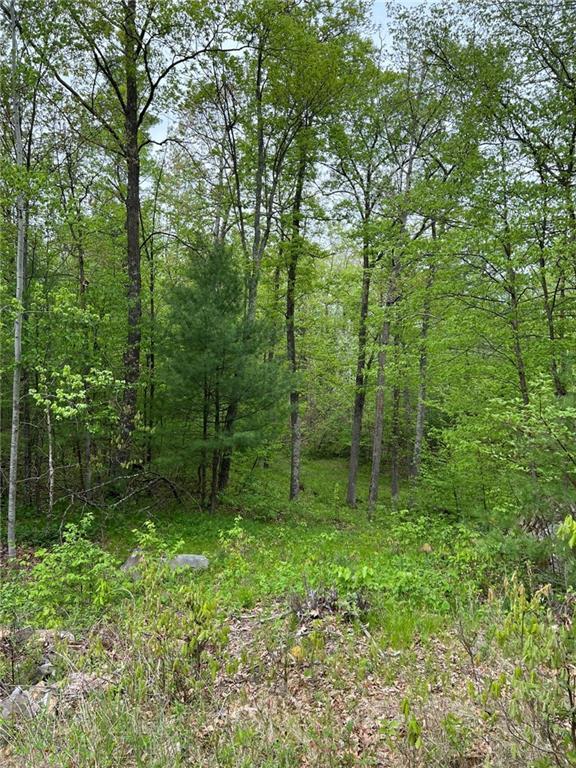 W4670 County Highway F, Springbrook, WI 54875 - view of woods