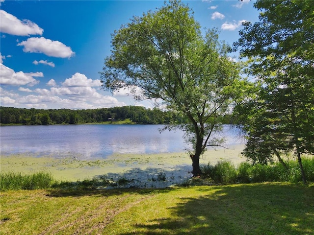 20931 Bayview Dr, Grantsburg, WI 54840