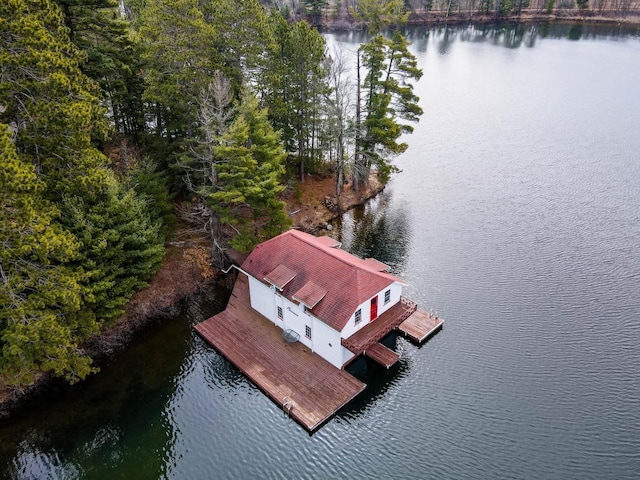 8395 Woolpy Dr, Minocqua, WI 54548 - dock area with a water view and a view of trees