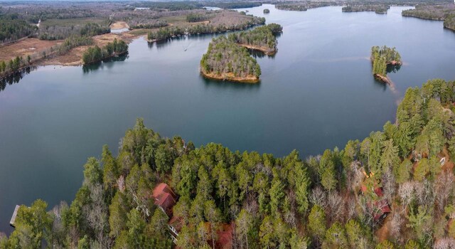8395 Woolpy Dr, Minocqua, WI 54548 - view of property location with a nearby body of water and a heavily wooded area