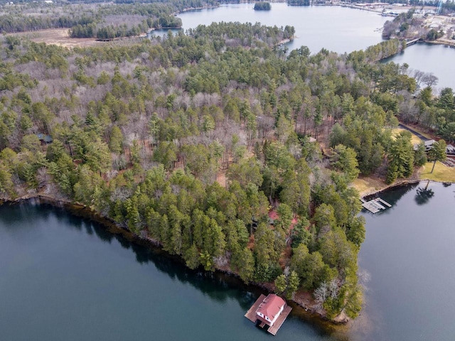 8395 Woolpy Dr, Minocqua, WI 54548 - aerial view of property's location featuring a nearby body of water and a forest