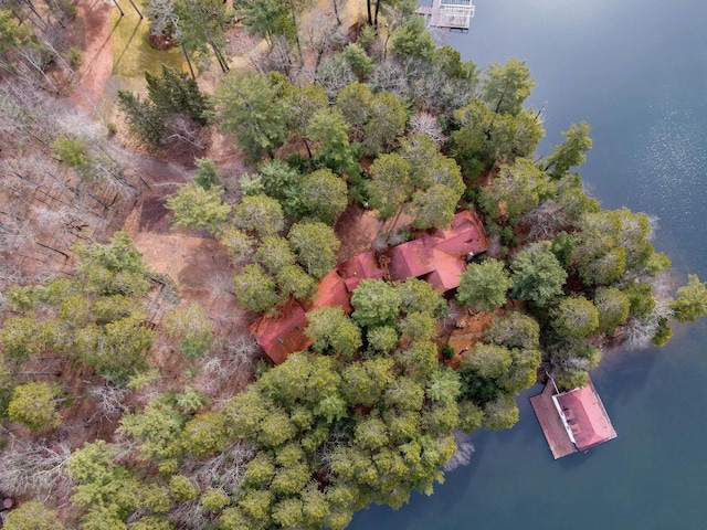 8395 Woolpy Dr, Minocqua, WI 54548 - aerial view of property's location