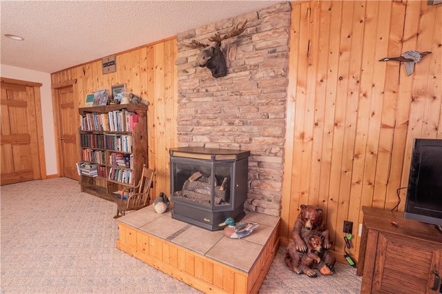 18886 53rd Ave, Chippewa Falls, WI 54729 - living room featuring wood walls, carpet floors, a wood stove, and a textured ceiling
