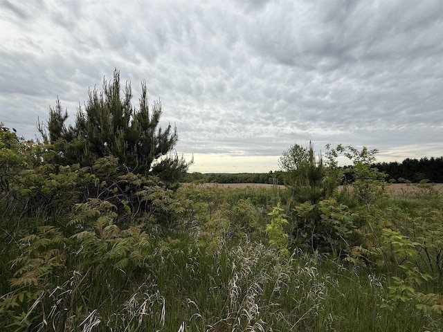 L28 Tranquility Ln, Baraboo, WI 53913