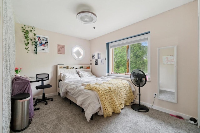 N124W13900 Lovers Ln, Germantown, WI 53022 - bedroom featuring carpet floors and baseboards