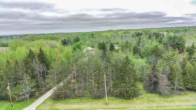 N124W13900 Lovers Ln, Germantown, WI 53022 - view of mountain background with a heavily wooded area