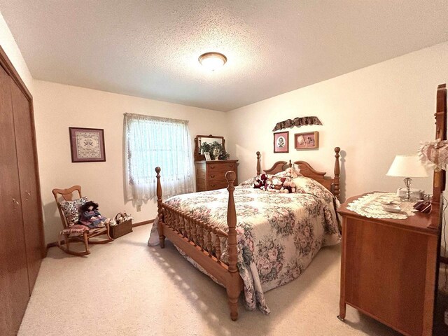 12541 Fleetwood Rd, Tomah, WI 54660 - bedroom with light colored carpet, a textured ceiling, and a closet