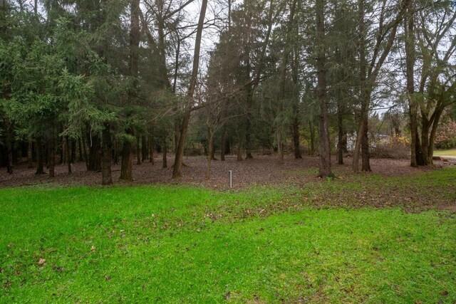N3725 County Road Ee, Redgranite, WI 54970 - view of nature