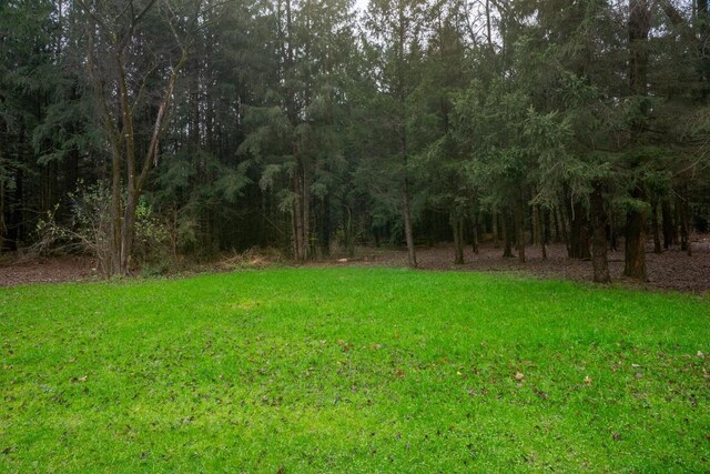 N3725 County Road Ee, Redgranite, WI 54970 - view of green lawn featuring a forest view