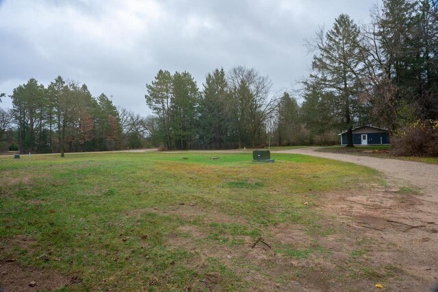 N3725 County Road Ee, Redgranite, WI 54970 - view of grassy yard with dirt driveway