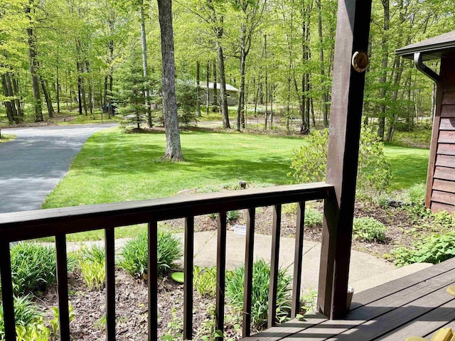 7002 Wildwood Ln, Rhinelander, WI 54501 - view of green lawn with a wooded view