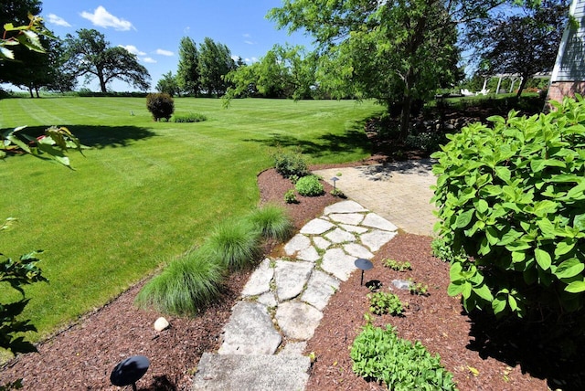 5021 Sherwood Ct, Burlington, WI 53105 - view of green lawn