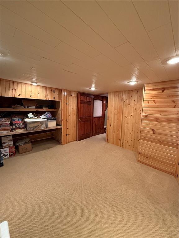 51 Stump Lake Rd, Chippewa Falls, WI 54729 - finished basement featuring carpet and wooden walls