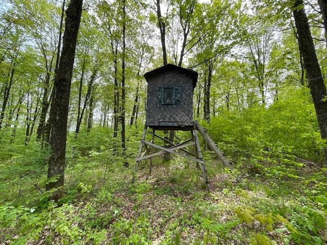 4546 Gold Leaf Ln, Ojibwa, WI 54862 - view of outdoor structure