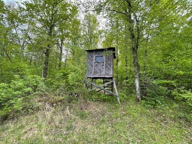 4546 Gold Leaf Ln, Ojibwa, WI 54862 - view of outbuilding with a wooded view