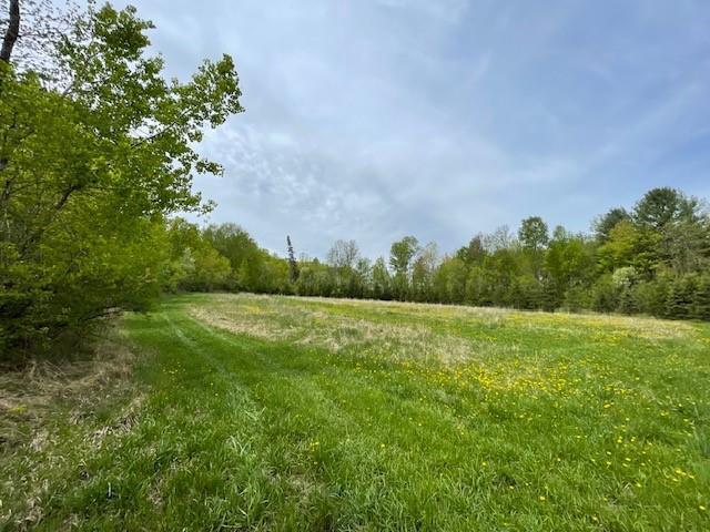 4546 Gold Leaf Ln, Ojibwa, WI 54862 - view of woods
