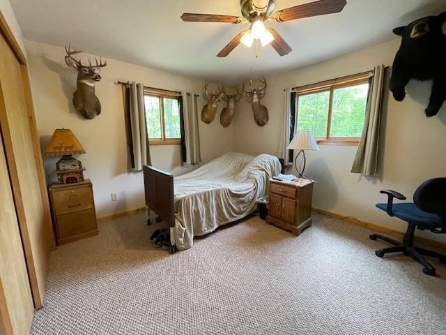 4546 Gold Leaf Ln, Ojibwa, WI 54862 - bedroom featuring multiple windows, ceiling fan, carpet floors, and baseboards