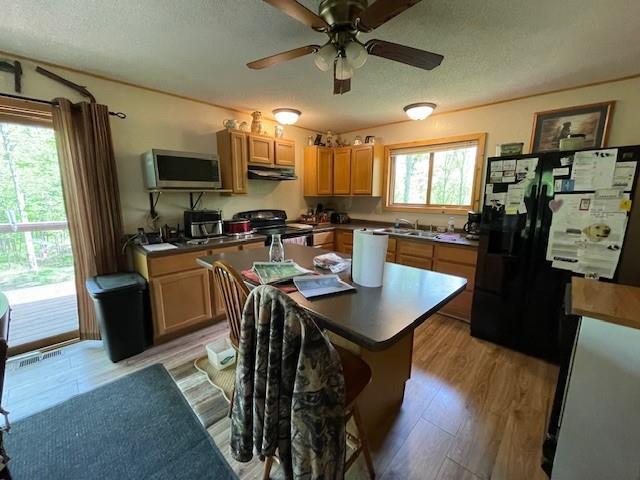 4546 Gold Leaf Ln, Ojibwa, WI 54862 - kitchen with electric range, under cabinet range hood, a textured ceiling, freestanding refrigerator, and light wood finished floors