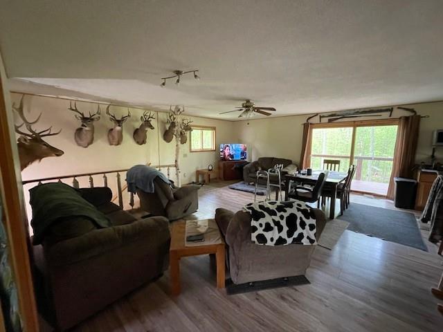 4546 Gold Leaf Ln, Ojibwa, WI 54862 - living room featuring wood finished floors and a ceiling fan
