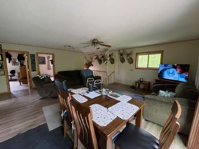 4546 Gold Leaf Ln, Ojibwa, WI 54862 - dining space with a textured ceiling, a ceiling fan, and wood finished floors
