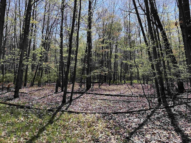 Leaf Rd, Marinette, WI 54143