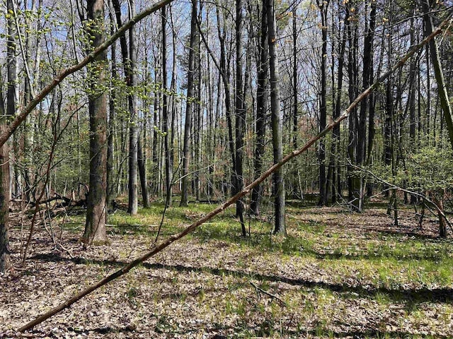 Leaf Rd, Marinette, WI 54143