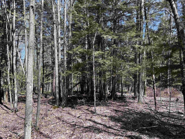 Leaf Rd, Marinette, WI 54143