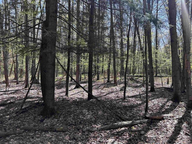 Leaf Rd, Marinette, WI 54143