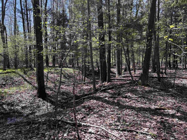 Leaf Rd, Marinette, WI 54143