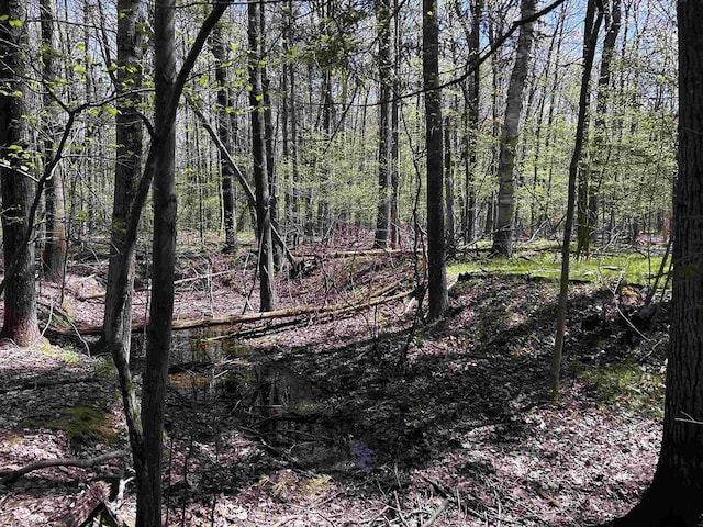 Leaf Rd, Marinette, WI 54143